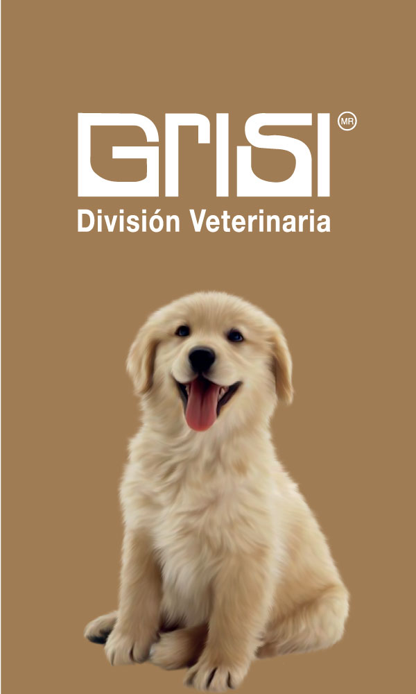 Grisi veterinario